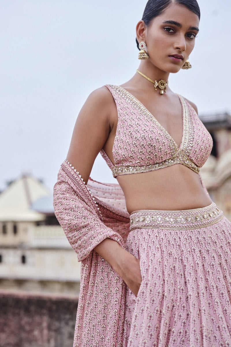 Alara Printed Mul Lehenga Set - Blush