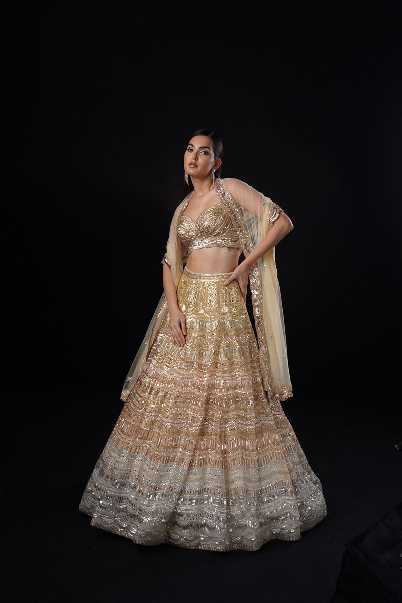 "Tierra" Gold Rosegold Silver Ombre Lehenga Set With Dupatta