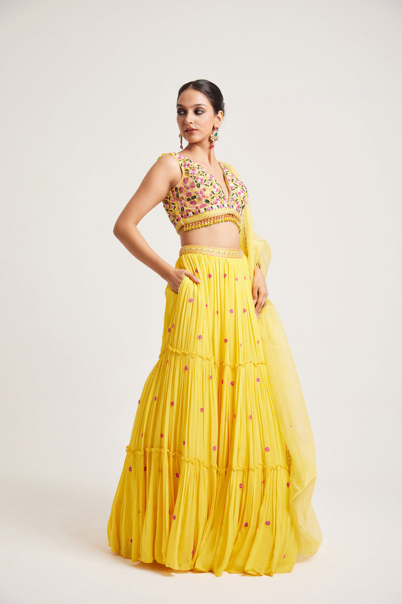 Hanika Lehenga