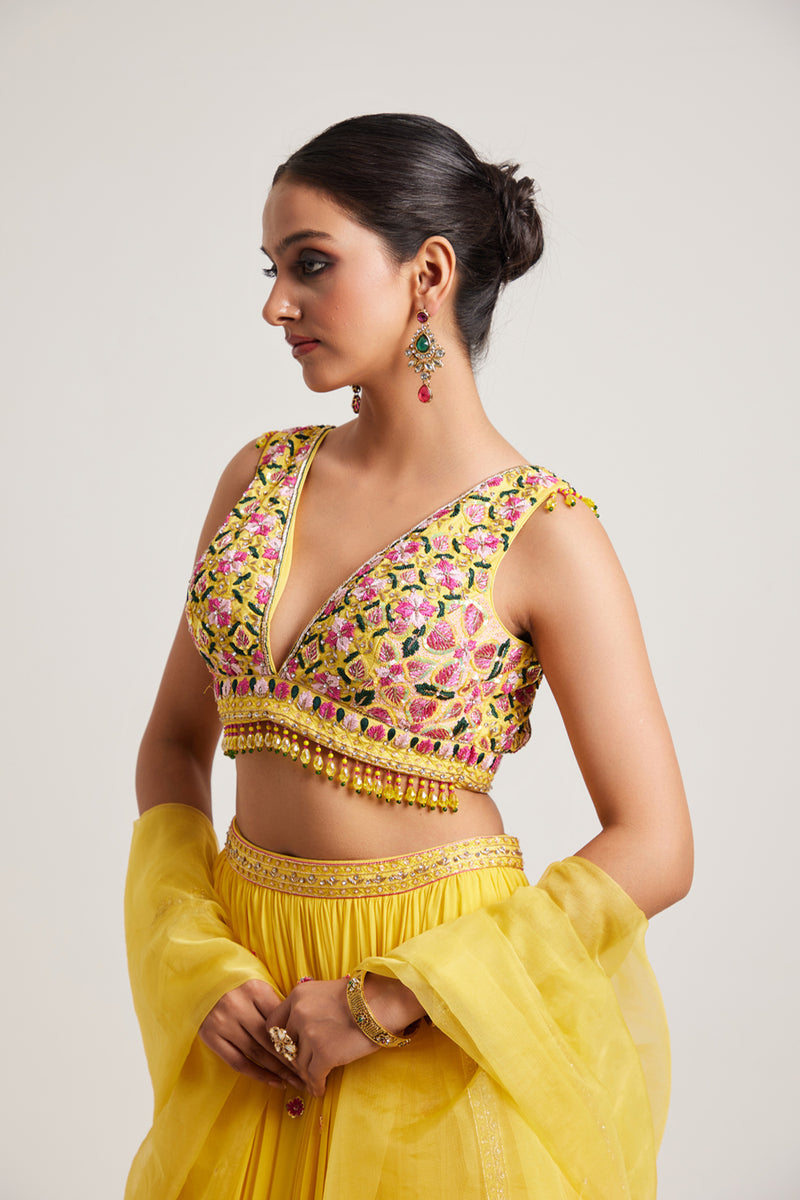 Hanika Lehenga