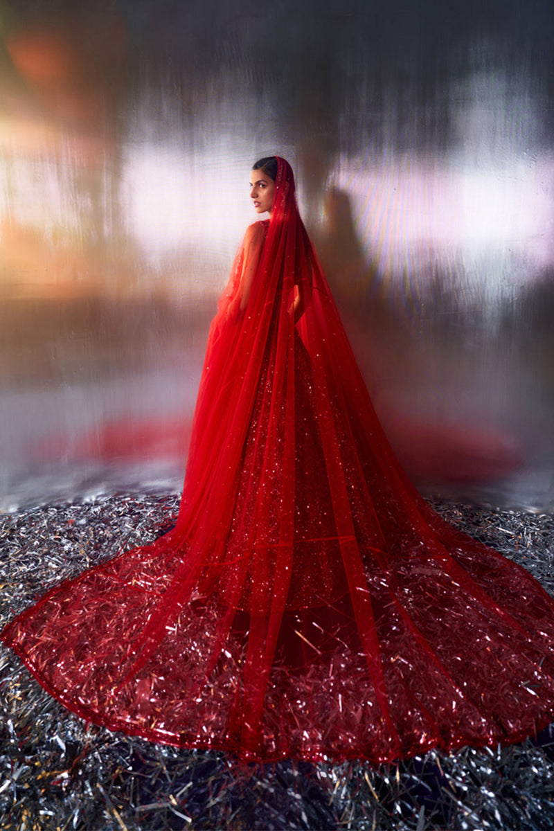 Red Net Lehenga Set