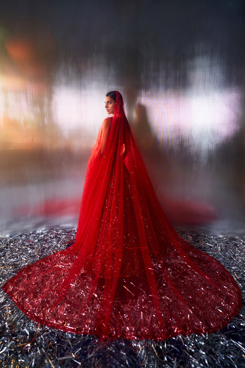 Red Net Lehenga Set