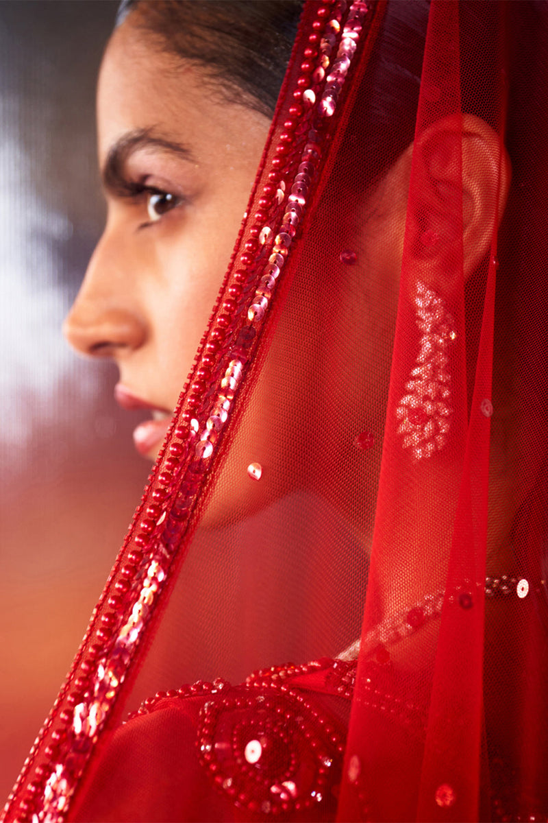 Red Net Lehenga Set