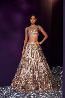 Gold Tissue Lehenga Set