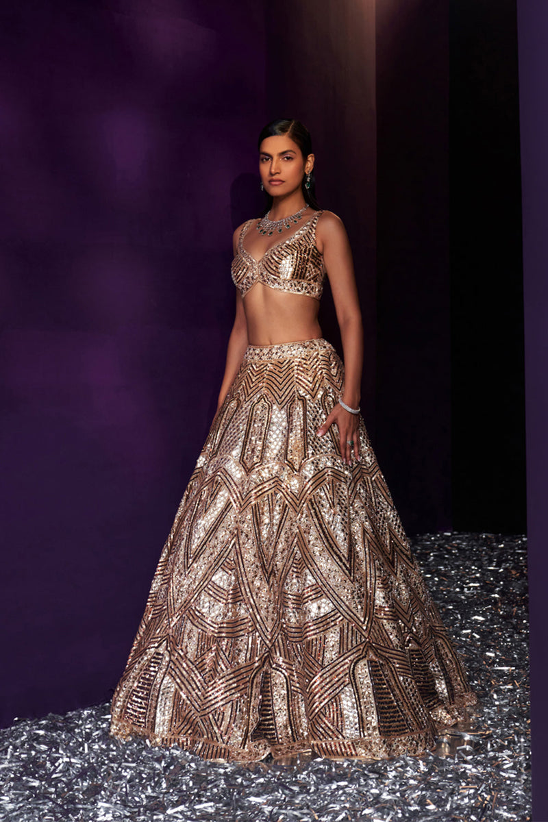 Gold Tissue Lehenga Set