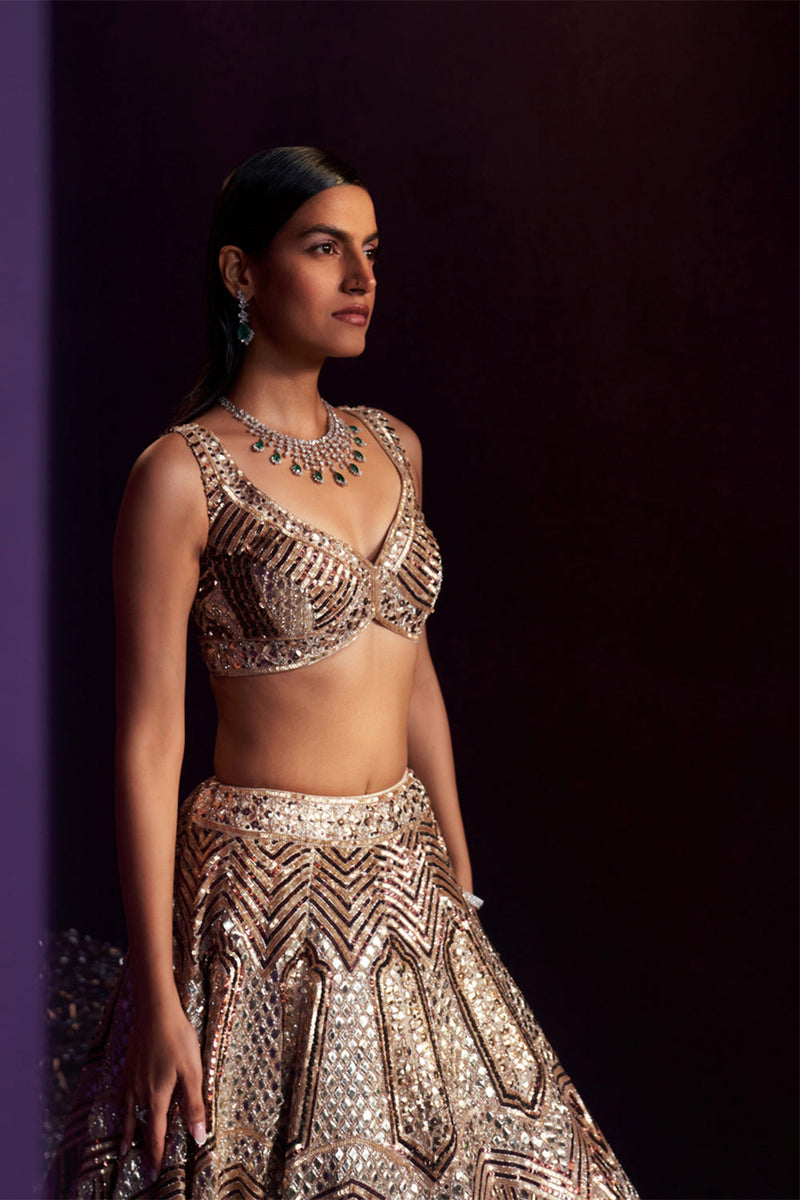 Gold Tissue Lehenga Set