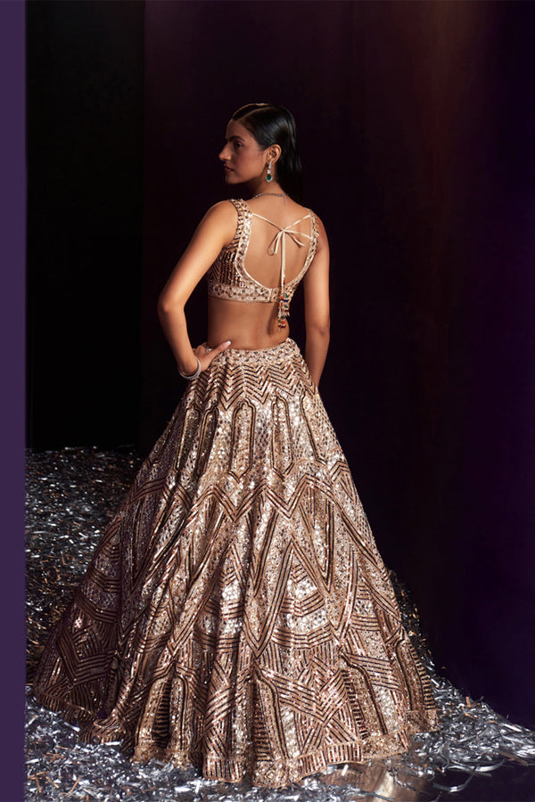 Gold Tissue Lehenga Set