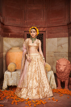 Padmasvar?a Lampi Lehenga