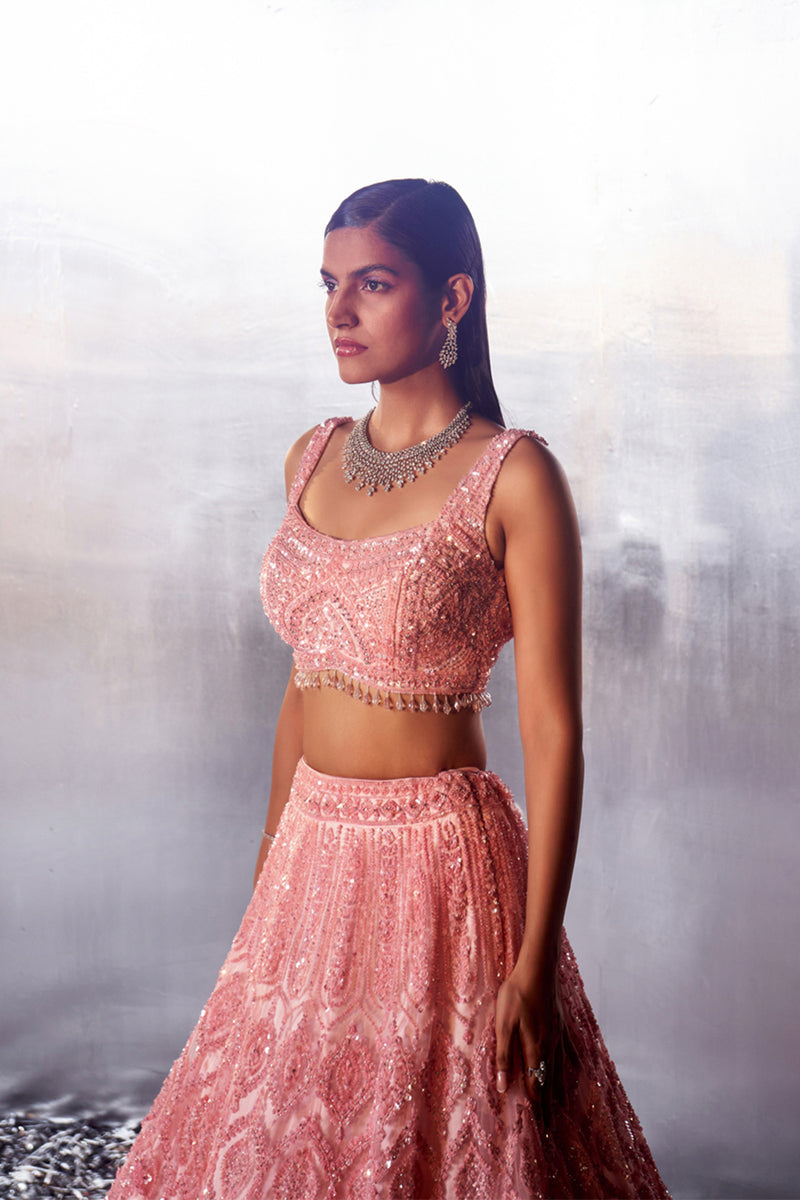 Blush Pink Net Lehenga Set