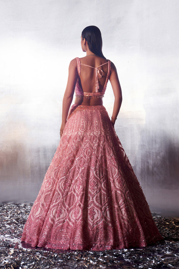 Blush Pink Net Lehenga Set