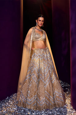 Gold Net Lehenga Set