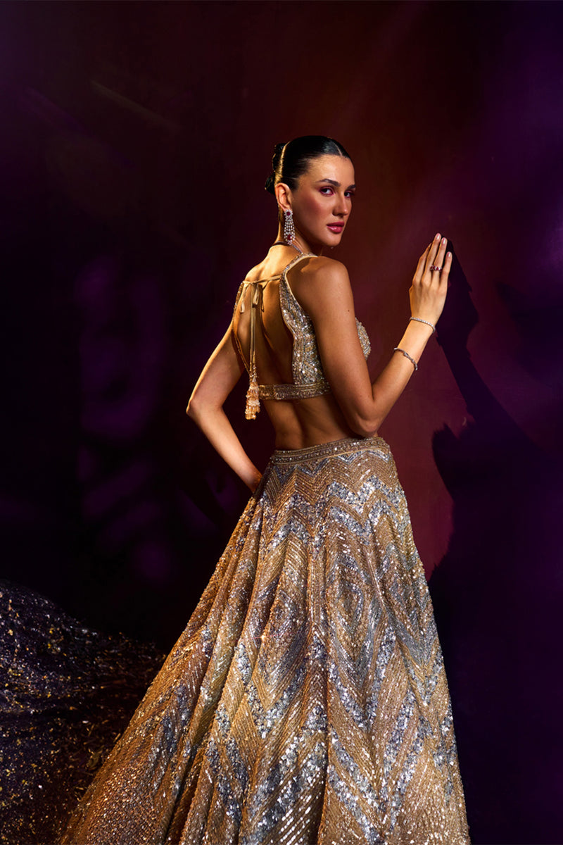 Gold Net Lehenga Set