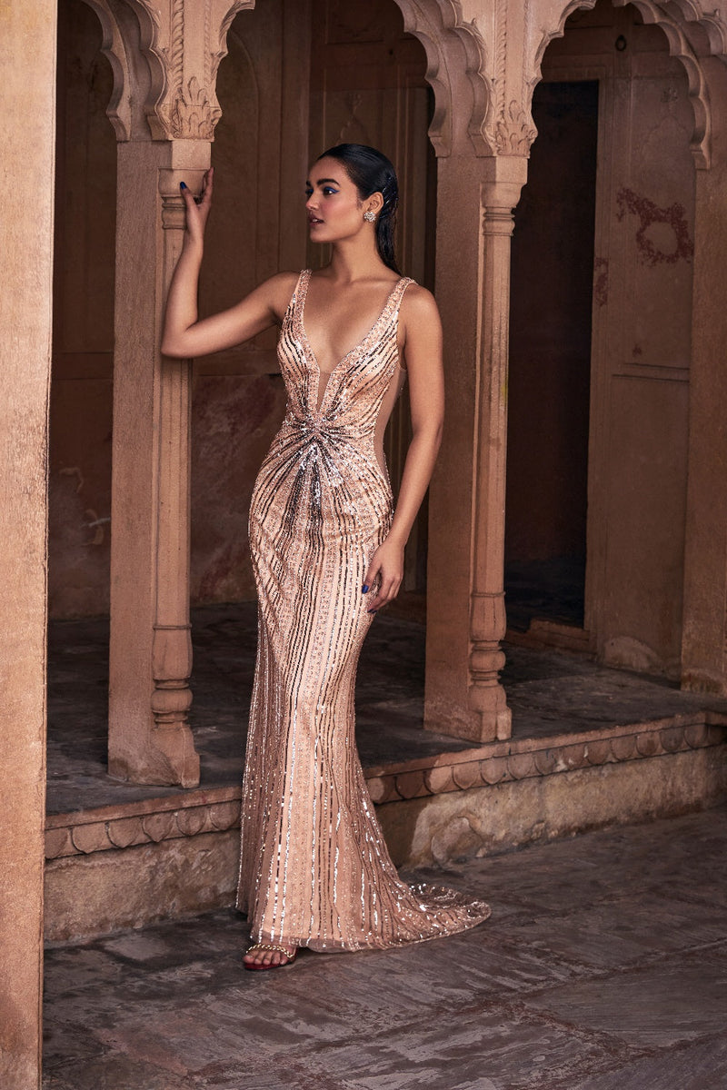 Champagne Gold Embroidered Gown