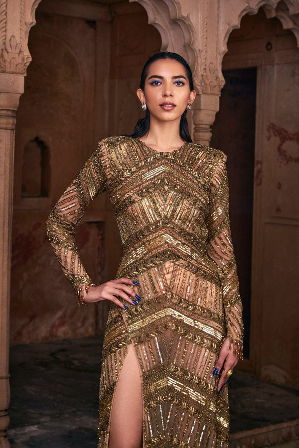 Matellic Gold Embroidered Gown