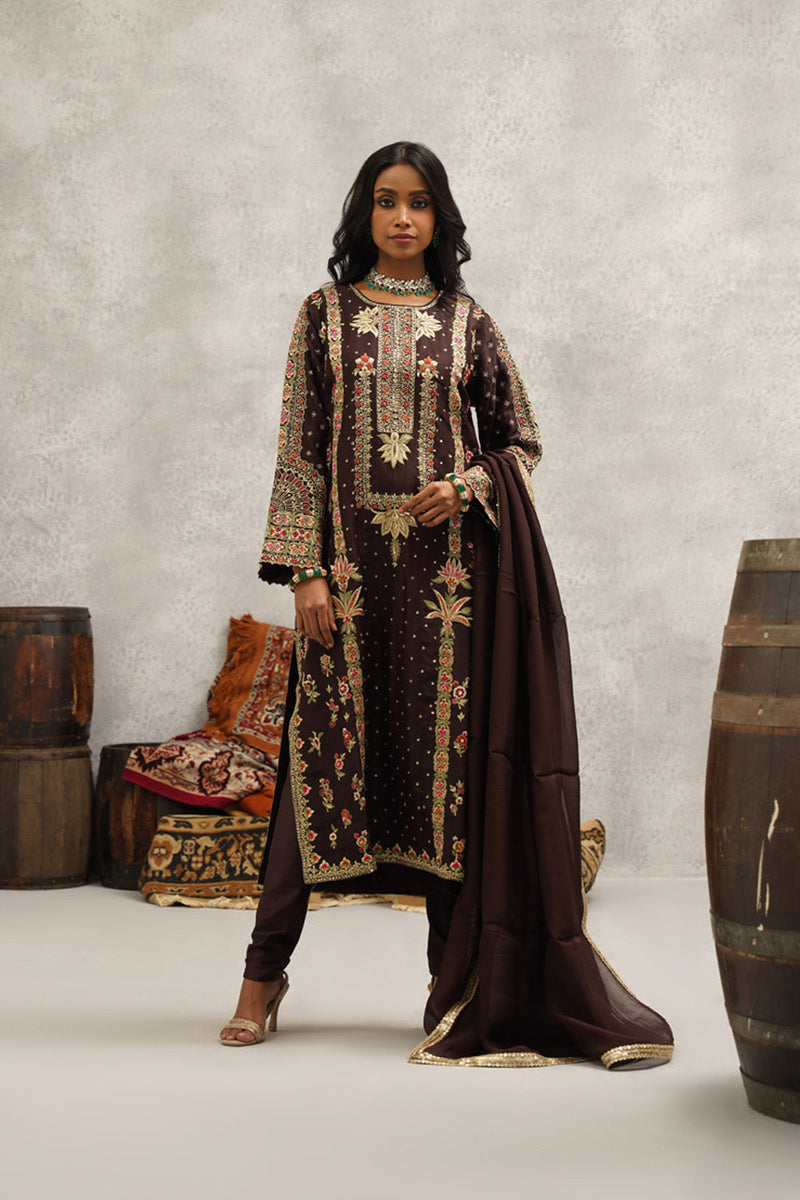 Brown Embroidered Suit Set