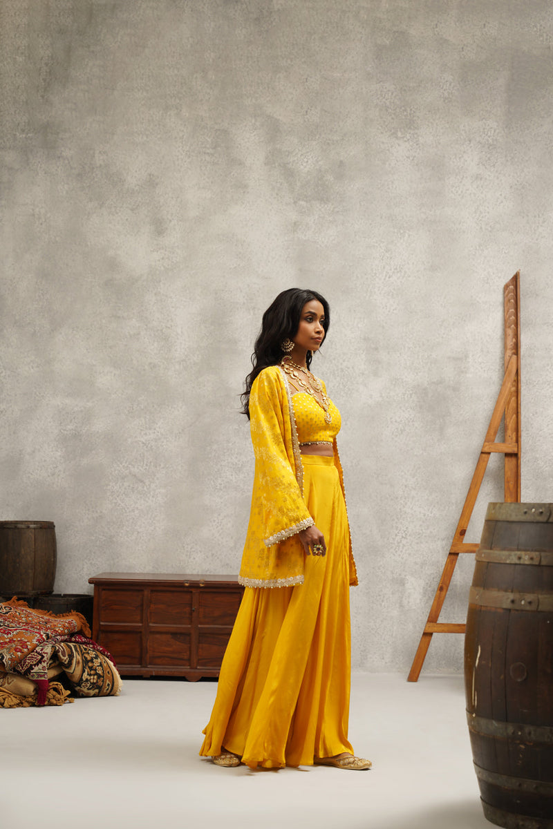 Yellow Embroidered Sharara Set