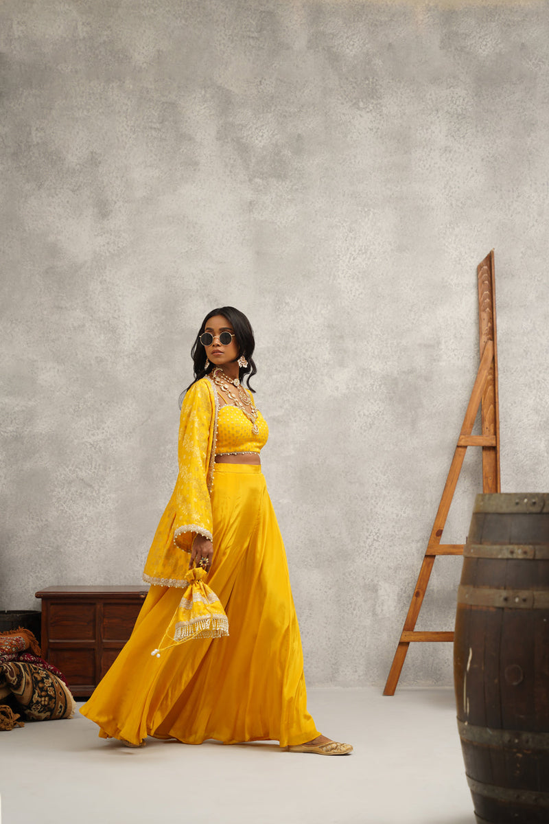 Yellow Embroidered Sharara Set