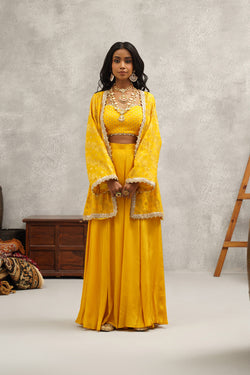 Yellow Embroidered Sharara Set