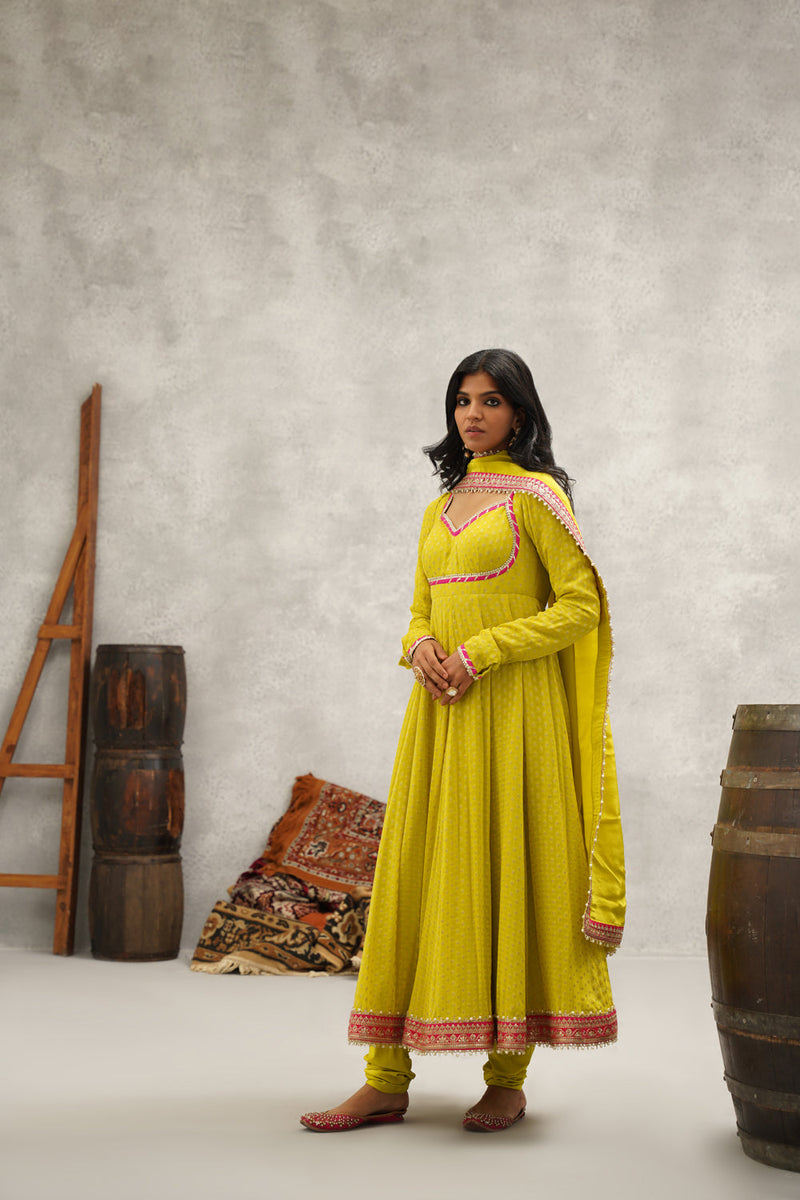 Lime Green Banarsi Georgette Anarkali Set