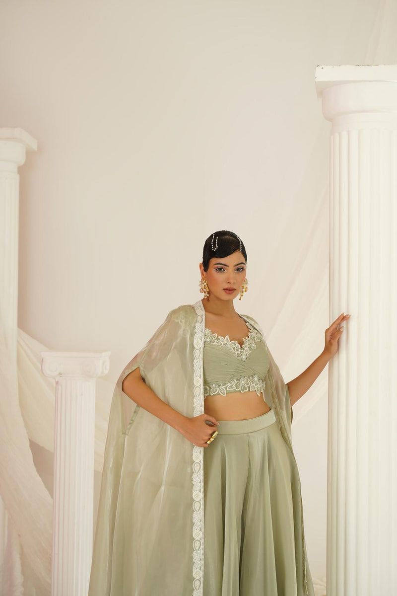 Sage Green Embroidered Sharara Set