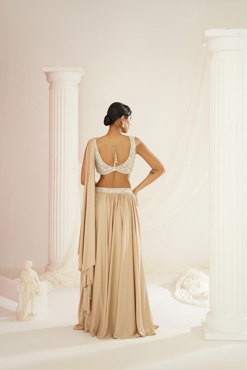 Nude Embellished Lehenga, Blouse And Drape Dupatta