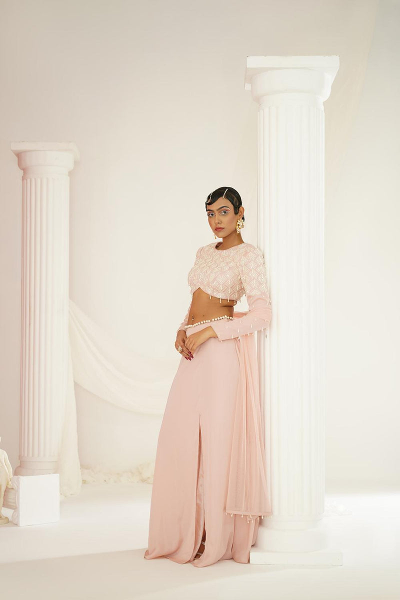 Blush Pink Embellished Lehenga, Blouse 
And Dupatta