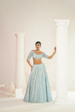 Aqua Blue Embellished Choli, Lehenga And Dupatta