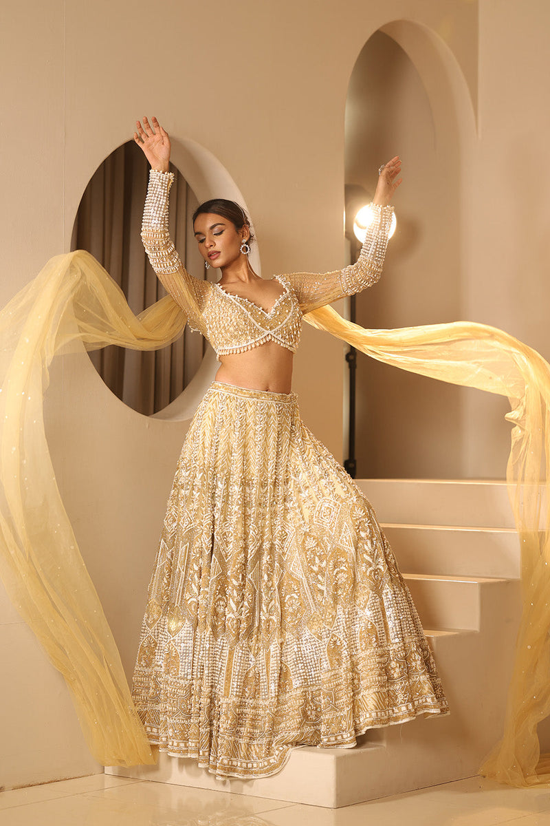 Gold Embroidered Lehenga Set