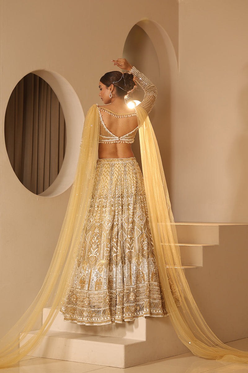 Gold Embroidered Lehenga Set