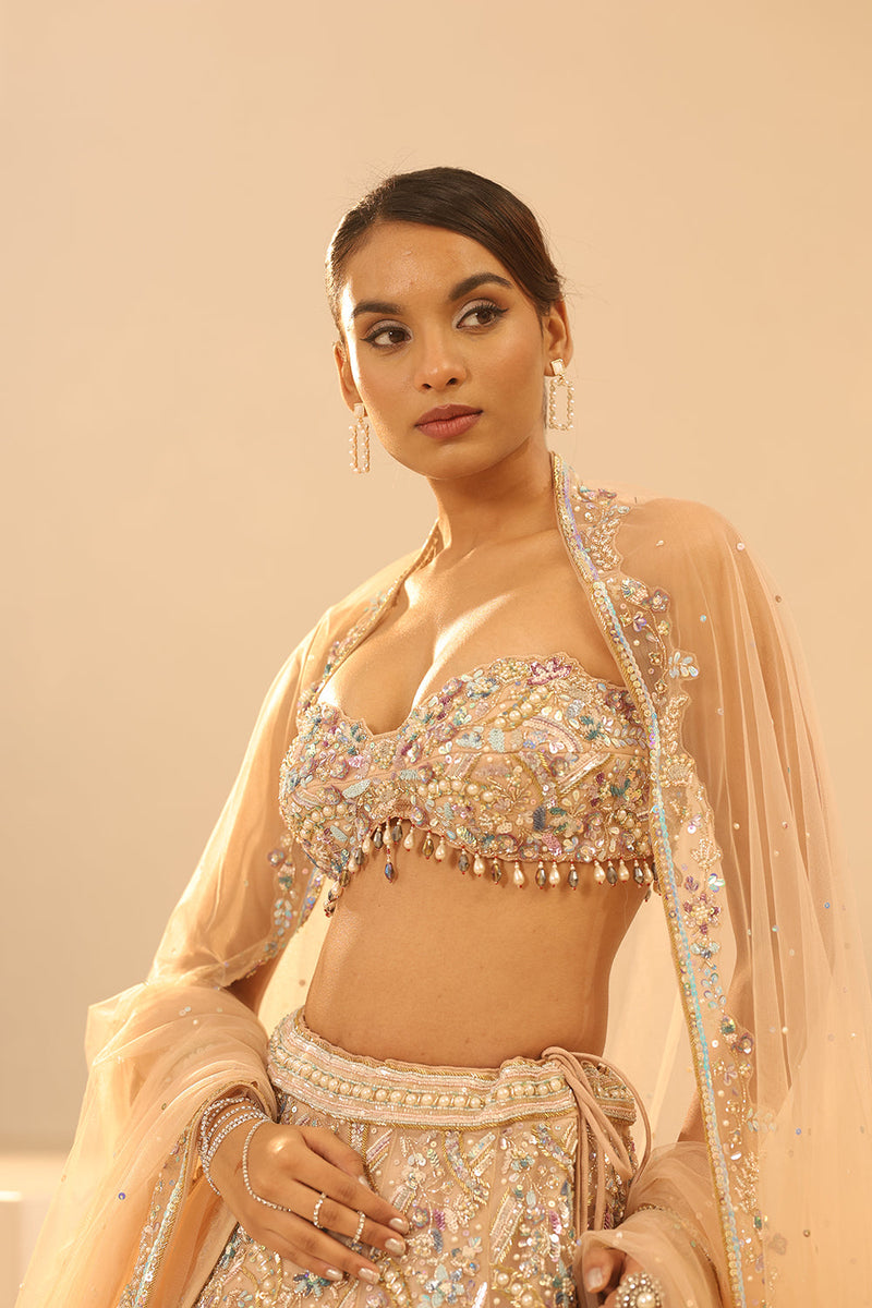 Nude Embroidered Lehenga Set