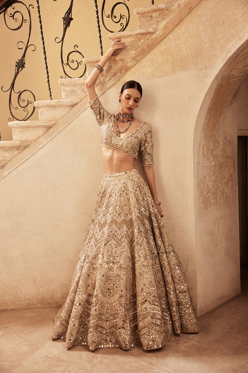 Champagne Rawsilk Mirror Lehenga Set