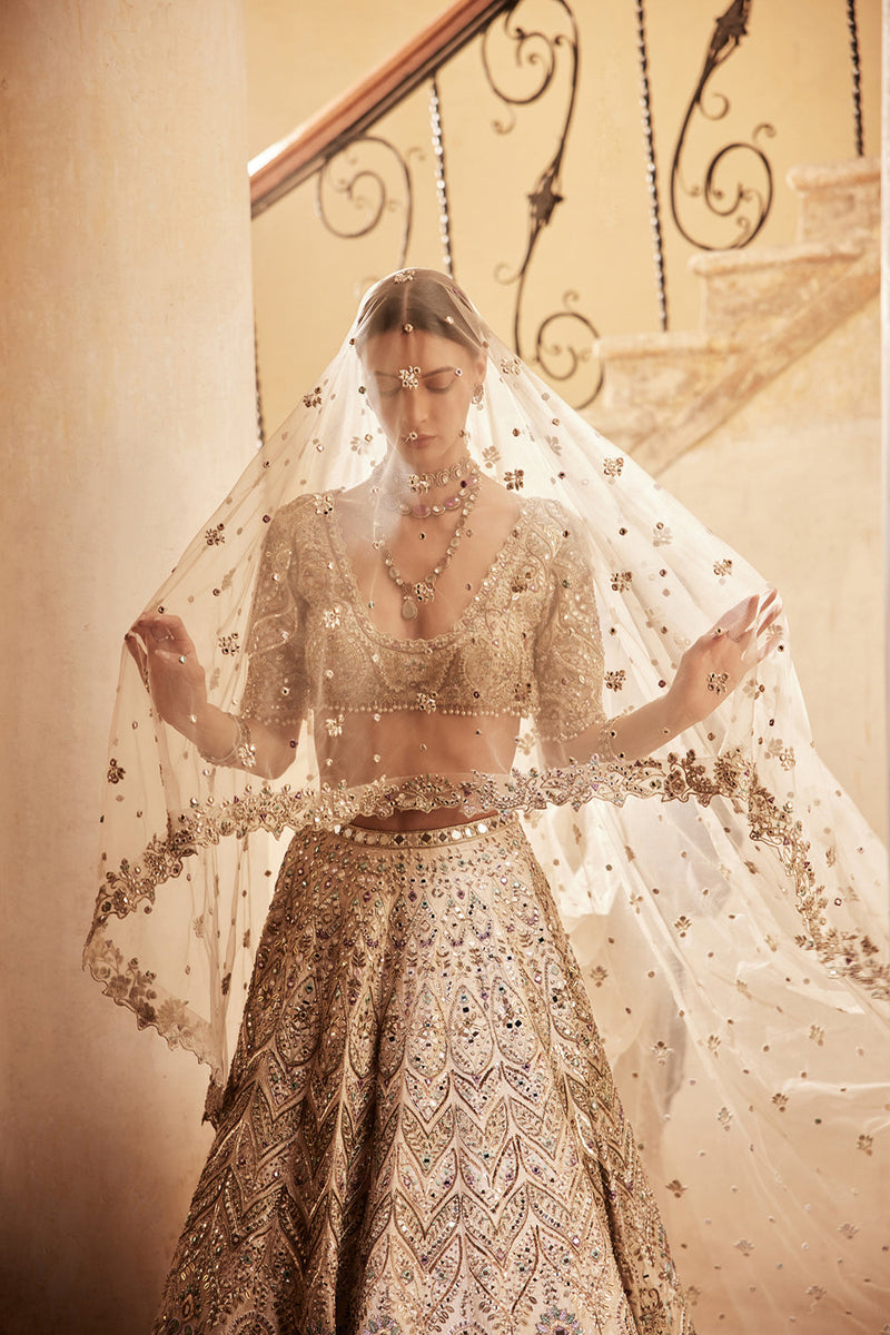 Champagne Rawsilk Mirror Lehenga Set