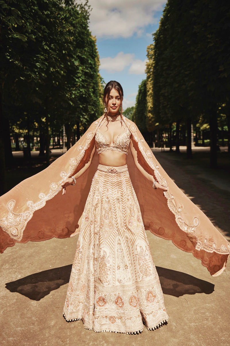 Rust Lehenga Set