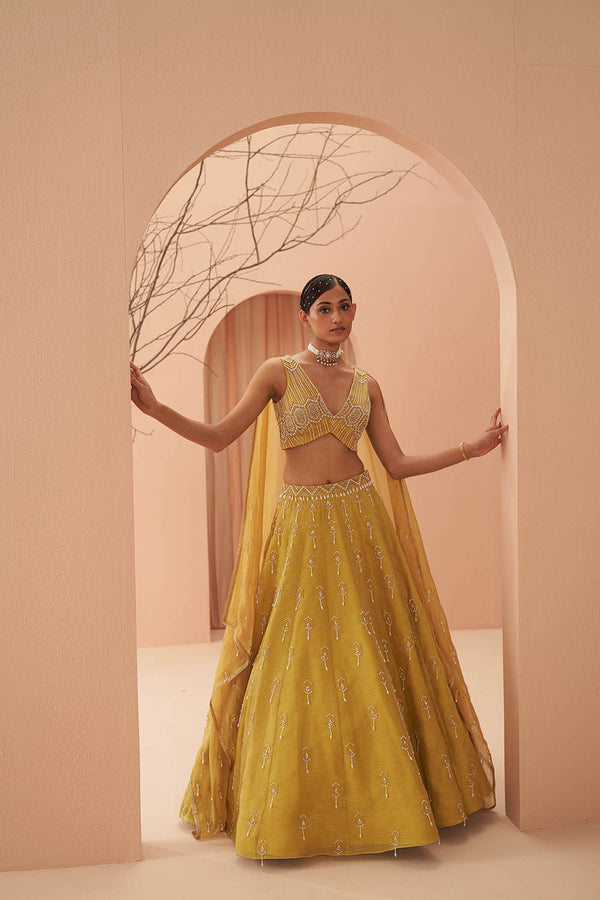 Blaze Lehenga Set