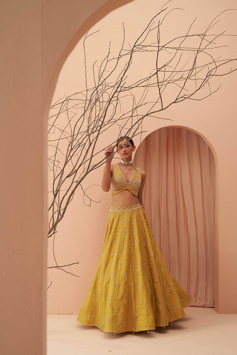 Blaze Lehenga Set