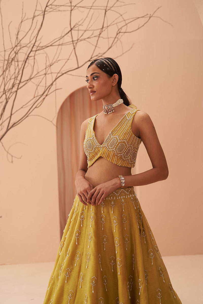 Blaze Lehenga Set