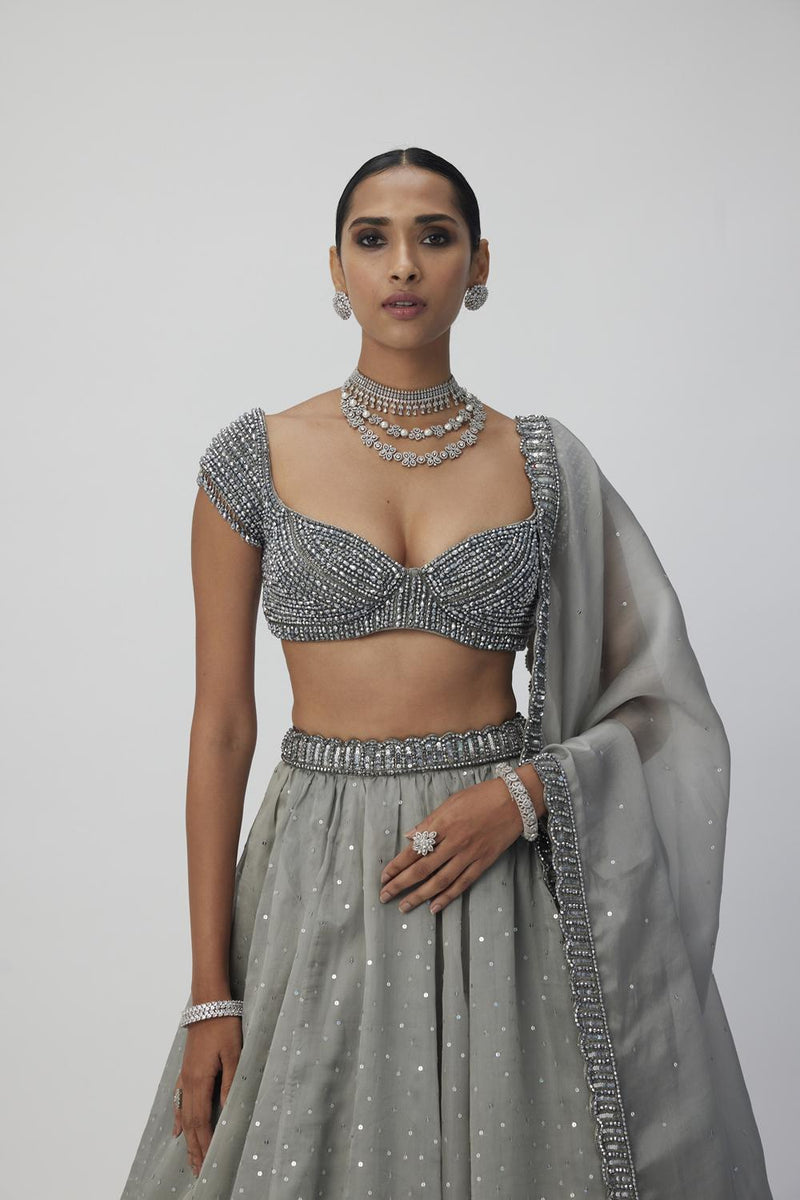 Crystal Grey Sequins Scattered Organza Lehenga Set