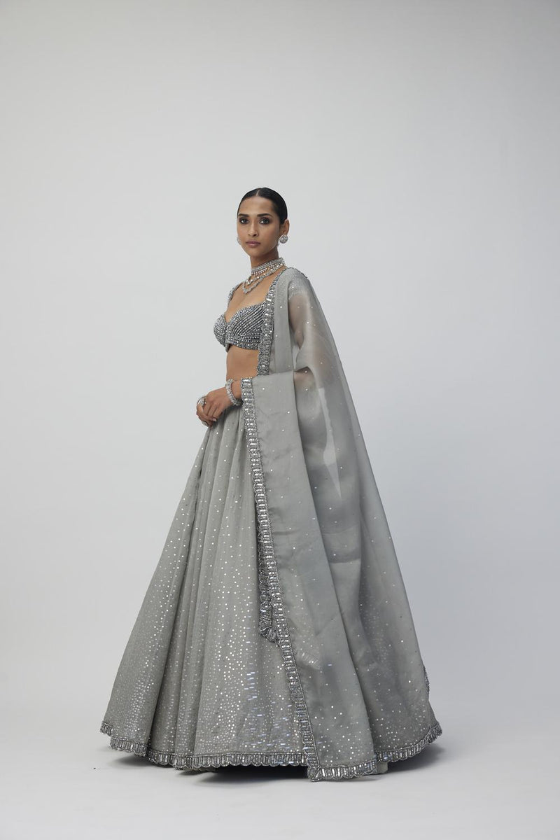 Crystal Grey Sequins Scattered Organza Lehenga Set