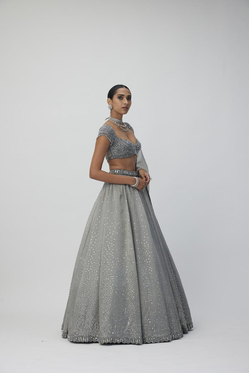 Crystal Grey Sequins Scattered Organza Lehenga Set