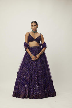 Royalty Purple Crystal Embroidered Lehenga Set