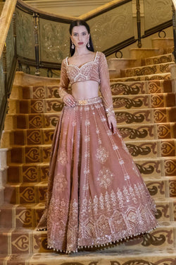 Hazel Brew Brown Lehenga Set