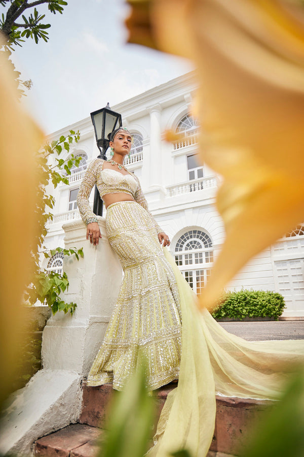 Yellow Pear Mermaid Style Lehenga Set