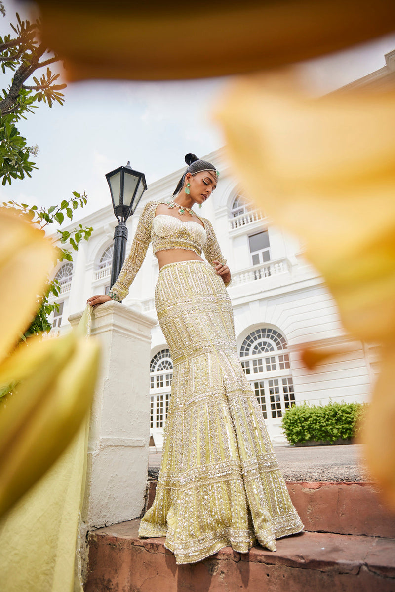 Yellow Pear Mermaid Style Lehenga Set