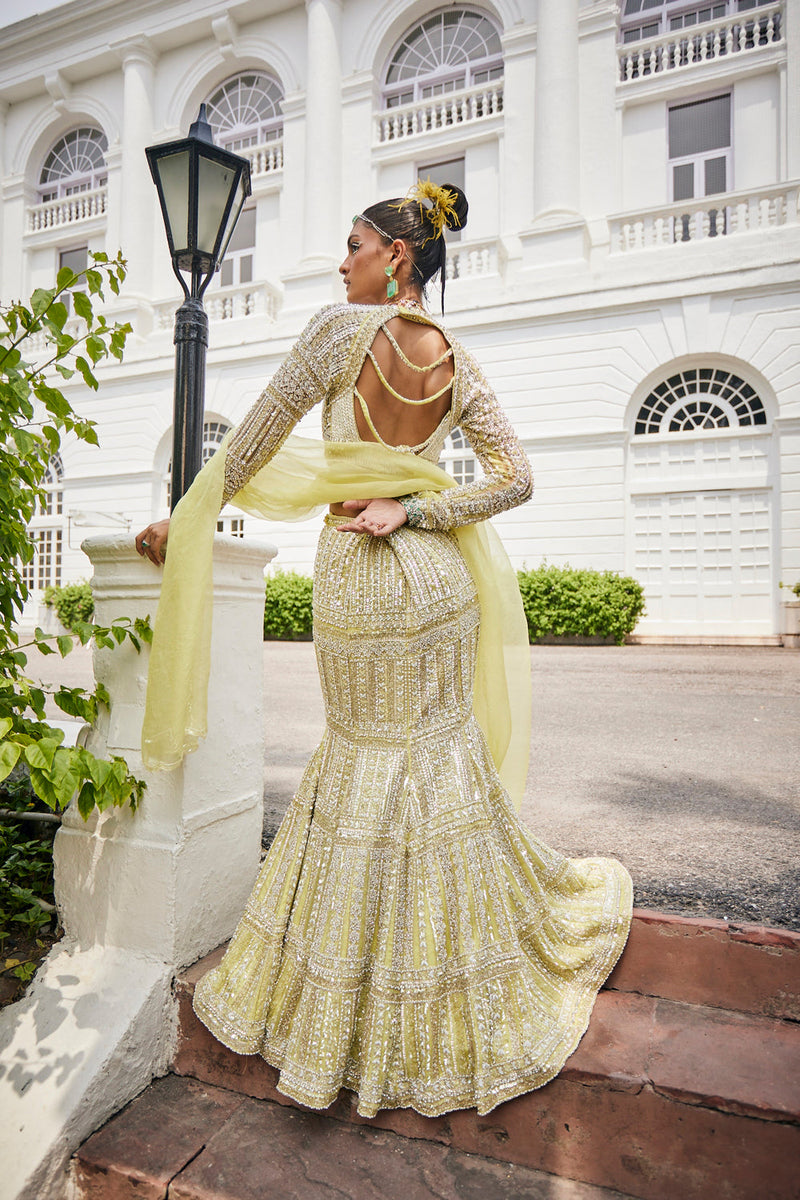 Yellow Pear Mermaid Style Lehenga Set