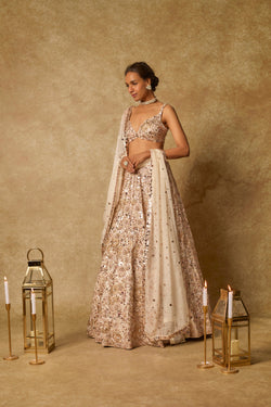 Beige Heavy Embroidered Lehenga Set