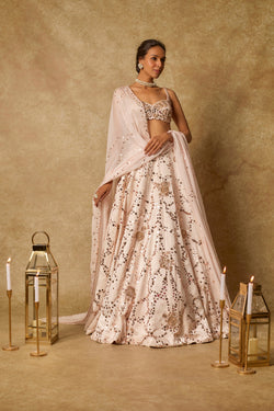 Baby Pink Sequin Embroidered Lehenga Set