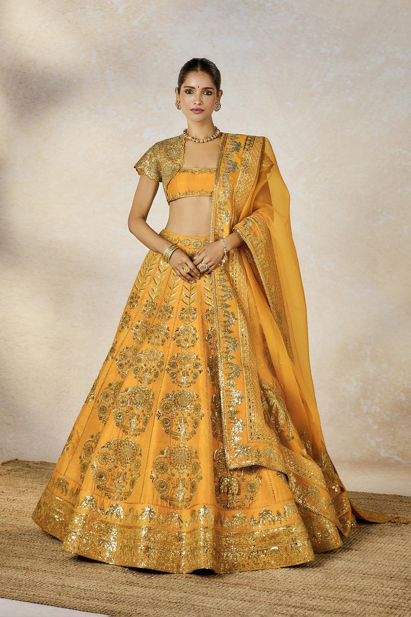 Motichur Lehenga Set