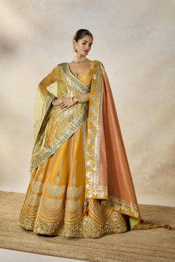 The Imarti Lehenga Set