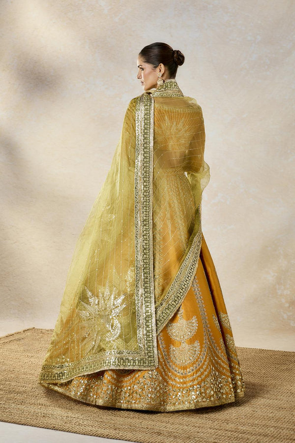 The Imarti Lehenga Set