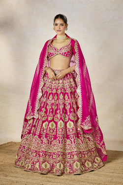 Dilli 6 Lehenga Set